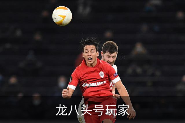 龙八头号玩家公司简介